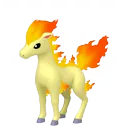 Ponyta